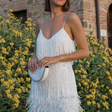 Samba - Eleganca v Gibanju