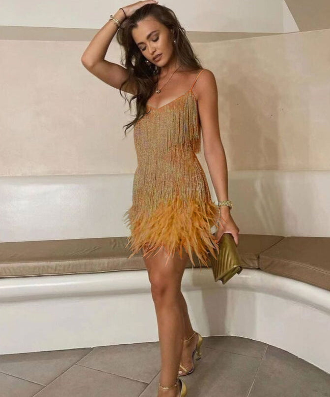 Samba - A Elegância em Movimento